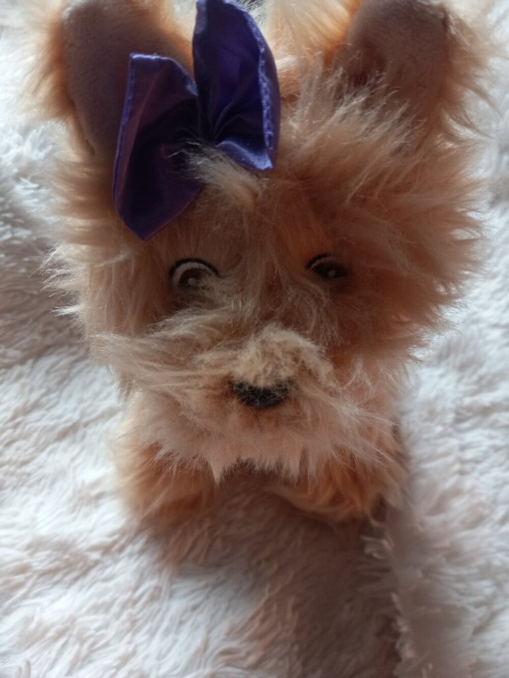 Yorke stuffed animal